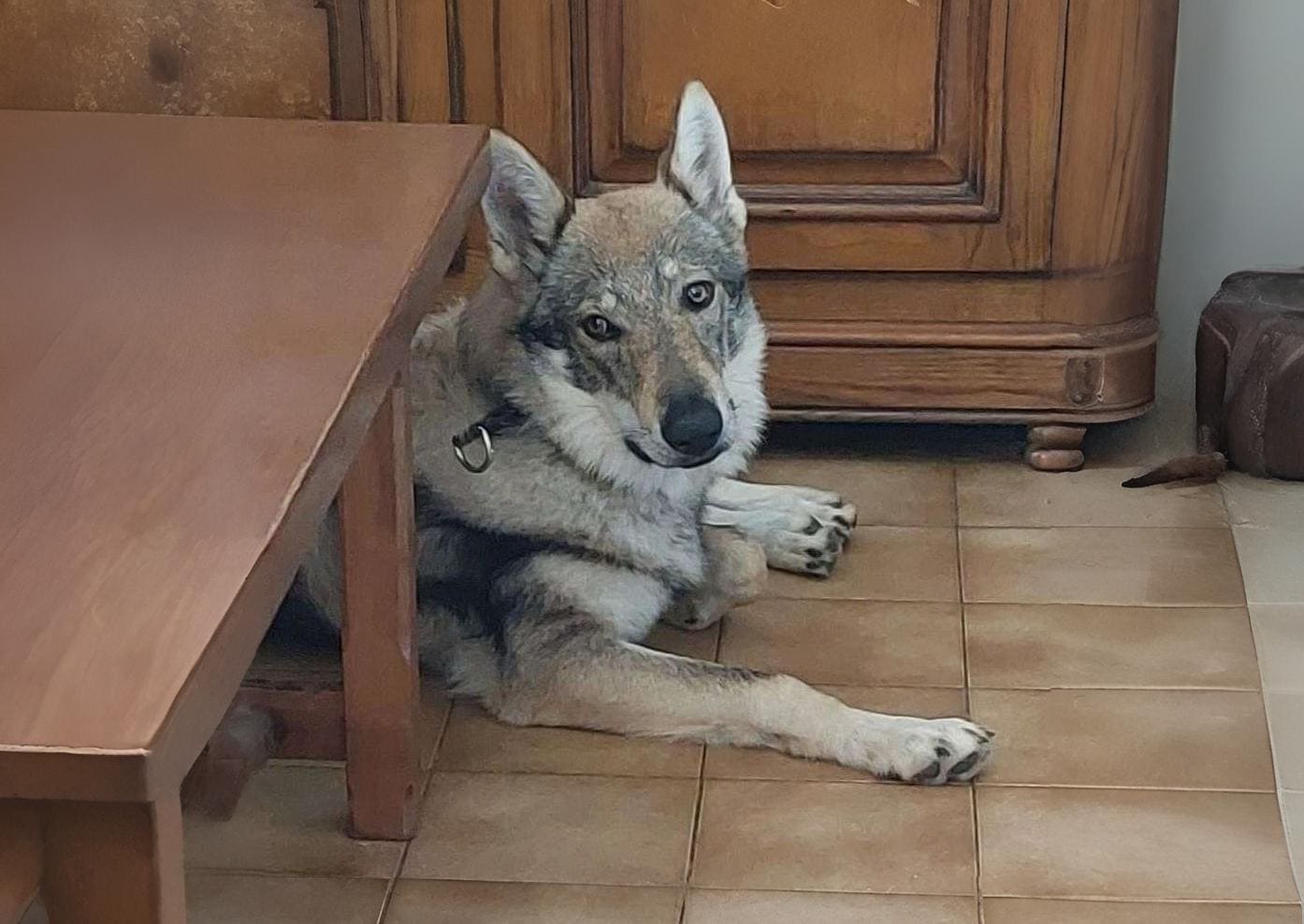 Les visites à domicile Sur devis